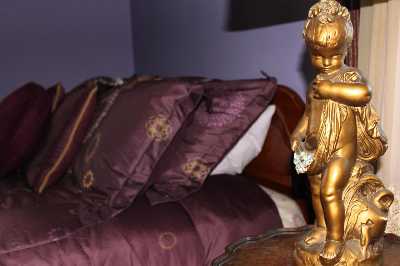 Riverview Mansion Hotel Golconda 客房 照片